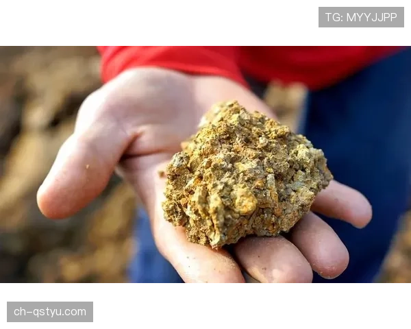 亚马尔数据含金量不足？从真实贡献看其场上价值